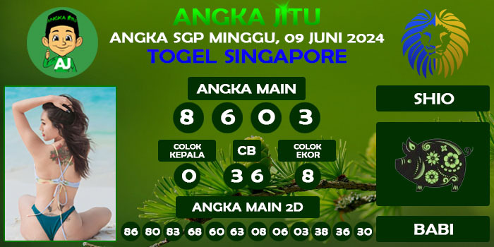 Prediksi Angka Jitu Sgp Minggu 09 Juni 2024